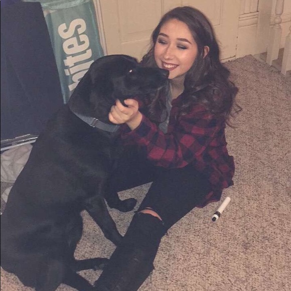 Meet your Posher, Bailey - Picture 4 of 8